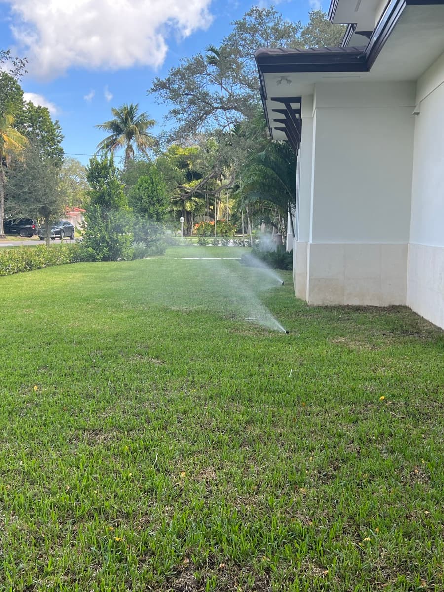 Turf irrigation setup