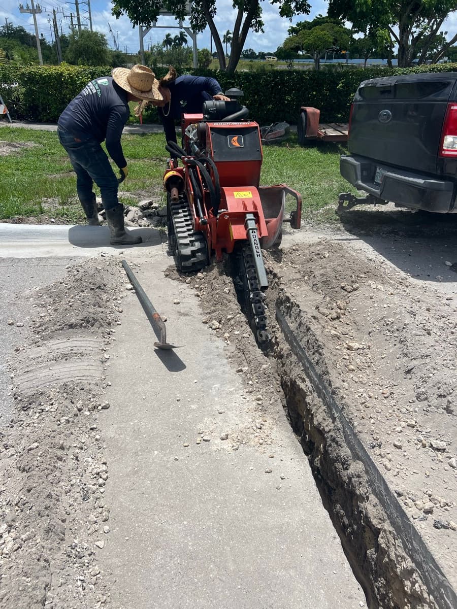 Drip irrigation setup